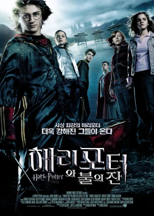 해리 포터와 불의 잔
