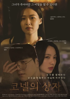 코넬의 상자