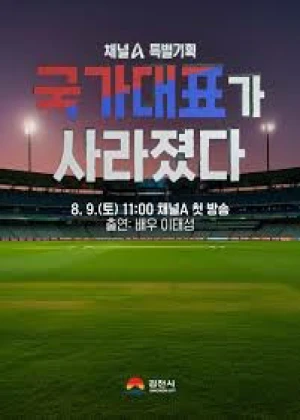 국가대표가 사라졌다