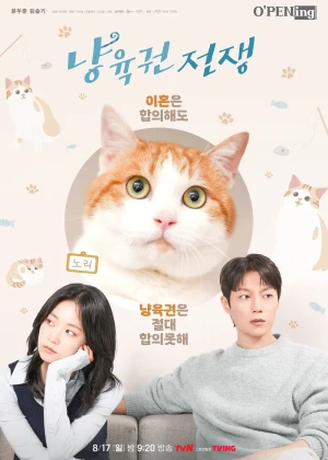 오프닝 2025 - 냥육권 전쟁